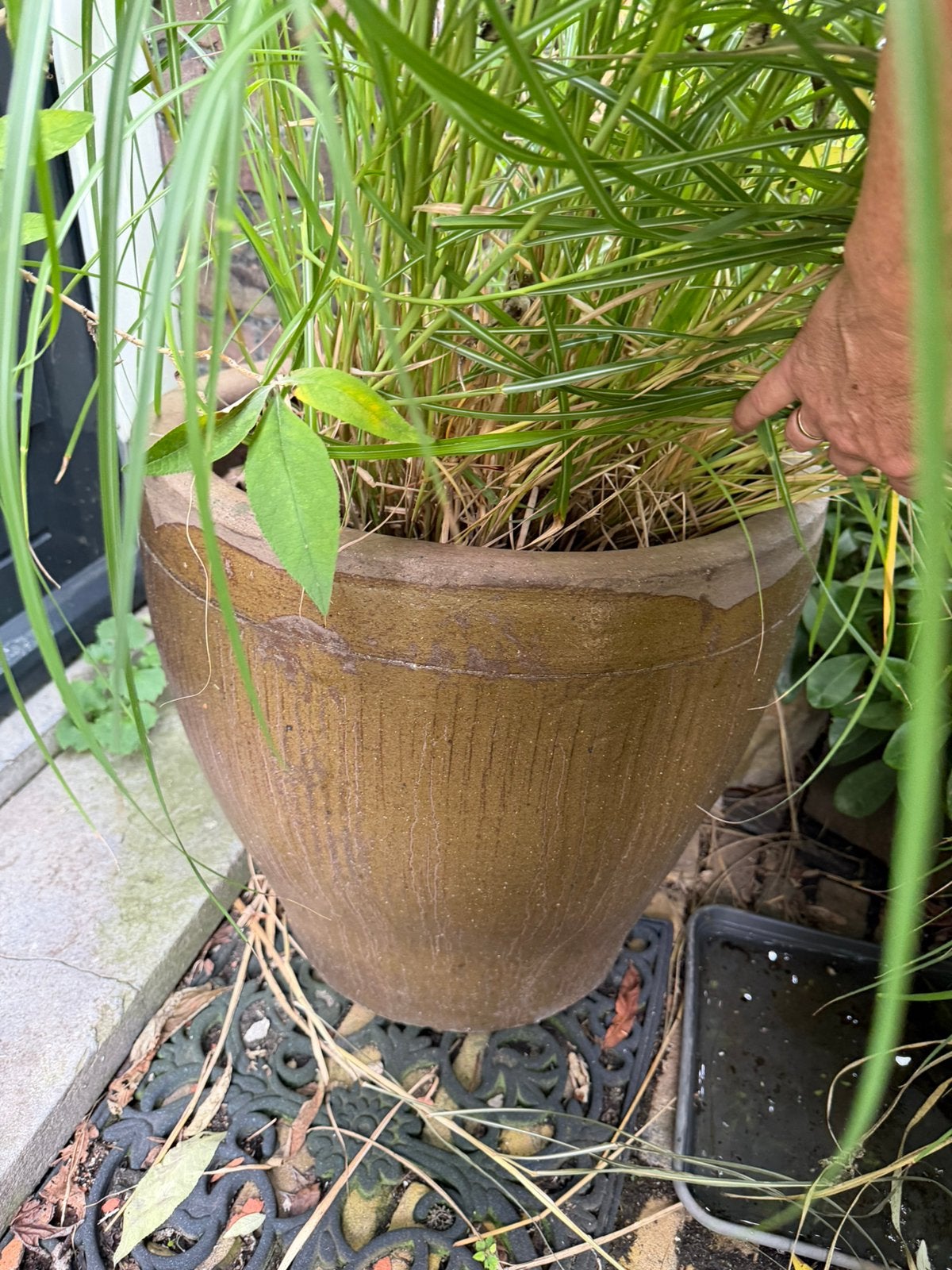 Grote bloempot met siergras 50cm hoog en doorsnee 50cm, Tuin en Terras, Ophalen, 40 cm of meer, Rond, Zo goed als nieuw