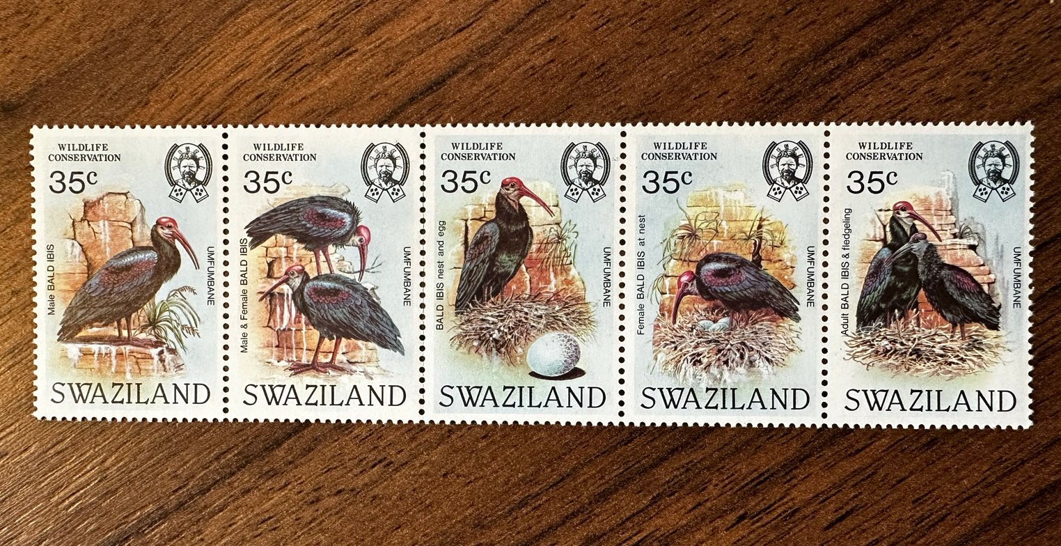 Swaziland 1985 postfris postzegels - Raaf Vogels, Ophalen of Verzenden, Overige landen, Postfris