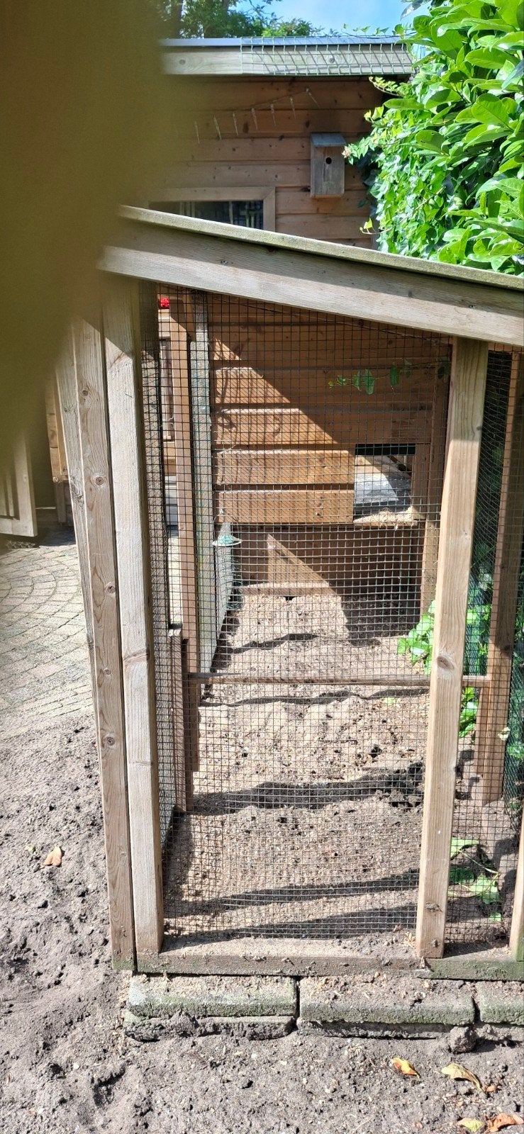 Kippenhok, Ophalen, 110 cm of meer, Zo goed als nieuw, 90 cm of meer