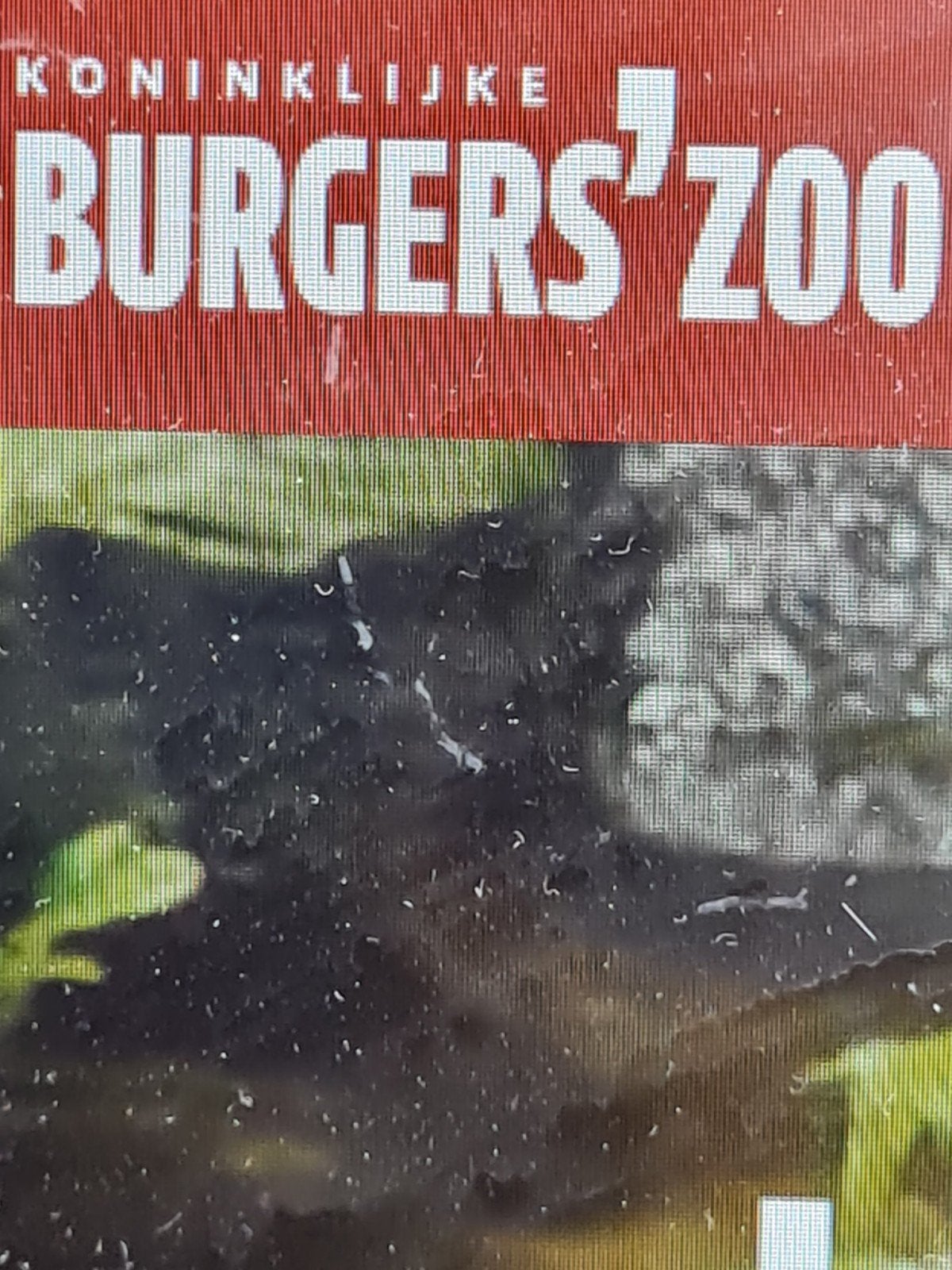 burgers'zoo e-tickets, meerdere aanwezig, Drie personen of meer, Ticket of Toegangskaart