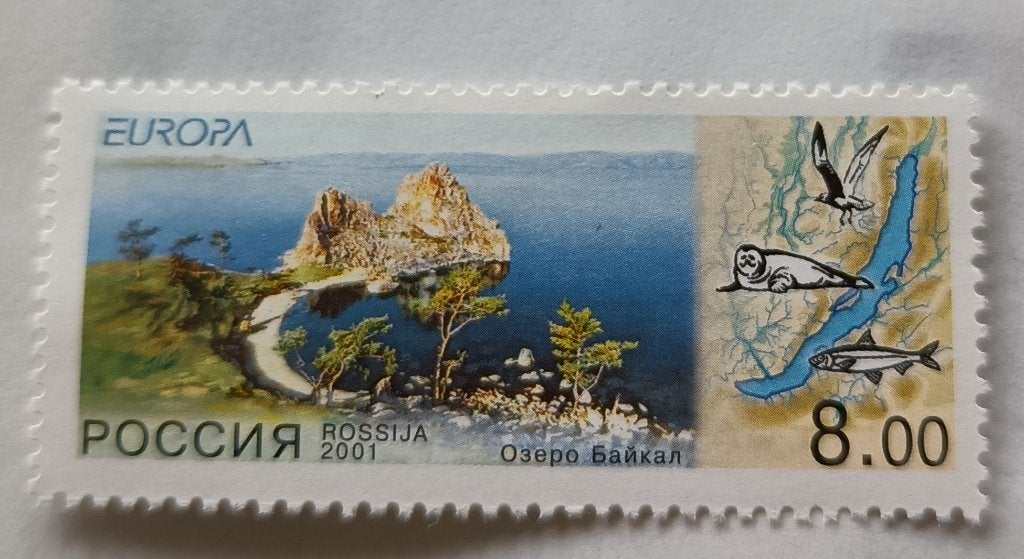 Russische Federatie-Russia 2001 cept mich 910, Ophalen of Verzenden, Postfris