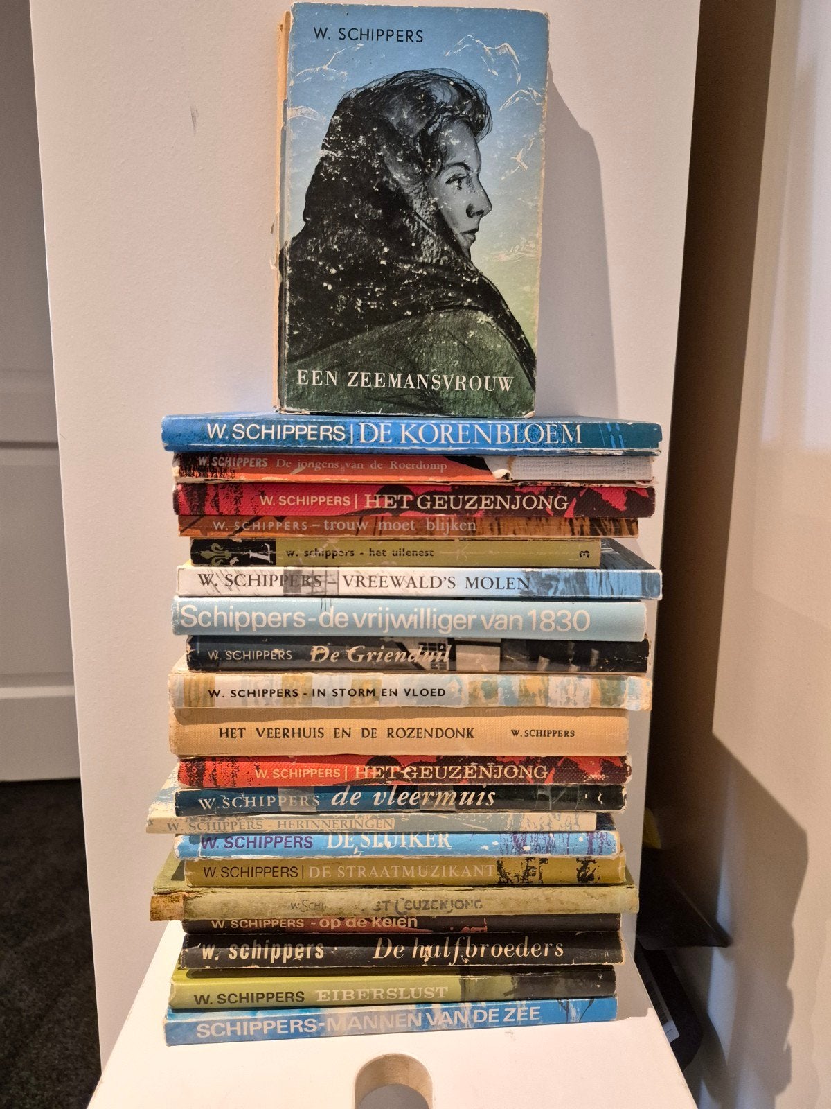 boeken W. Schippers boeken (20 stuks), Ophalen of Verzenden, Gelezen, W. Schippers
