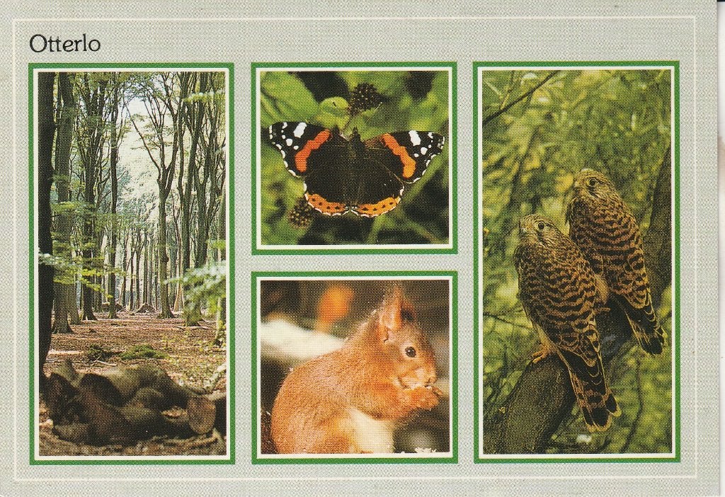 Otterlo 1990, Ophalen of Verzenden, 1980 tot heden, Gelopen, Gelderland