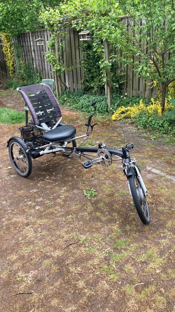 Van Raam Easy Sport elektrische driewieler, Ophalen, Zo goed als nieuw