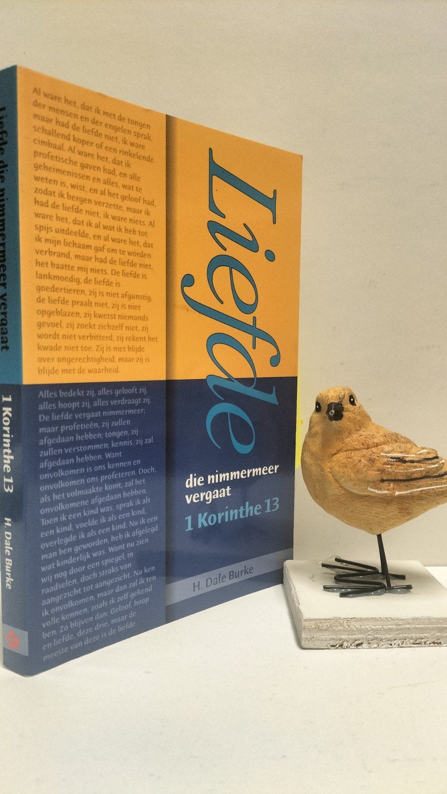Burke, H. Dale; Liefde die nimmermeer vergaat, Ophalen of Verzenden, Gelezen, Christendom | Protestants