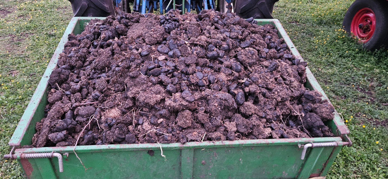 Gratis schone paardenmest, Ophalen of Verzenden, Tuinaarde