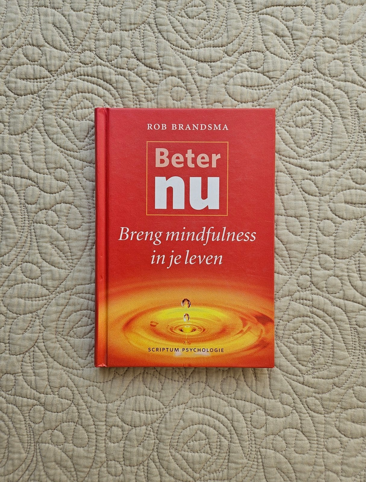 Rob Brandsma - Beter nu, Boeken, Ophalen of Verzenden, Zo goed als nieuw, Rob Brandsma