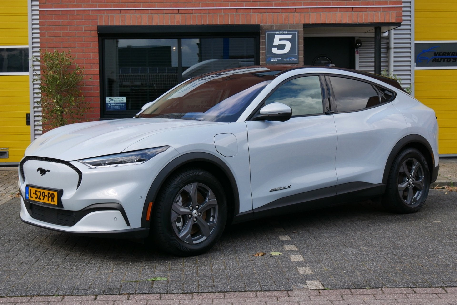 Ford Mustang Mach-E Extended RWD 98 kWh pano. 360cam. leder., Gebruikt, Wit, Mustang, SUV of Terreinwagen