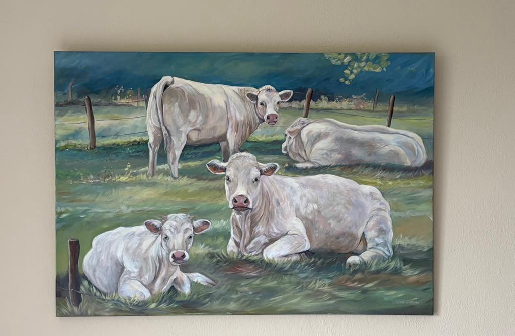 Schilderij acrylverf koeien 100 cm x 70 cm, Ophalen of Verzenden