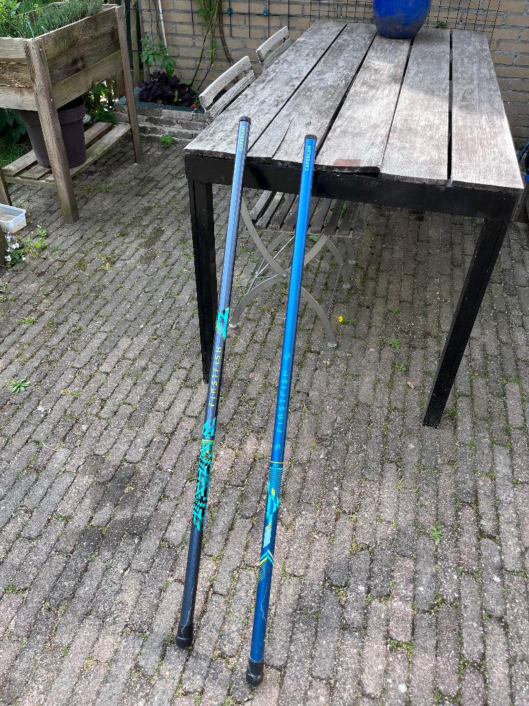 Vaste hengels (2 stuks), Ophalen, Zo goed als nieuw, Vaste hengel