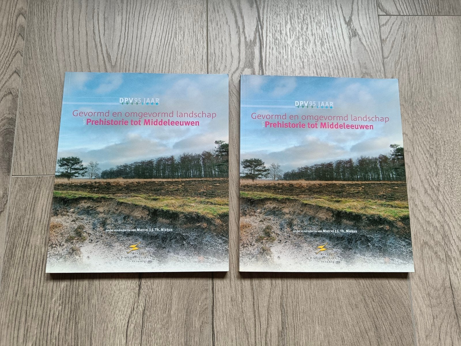 Gevormd en omgevormd landschap: Prehistorie tot Middeleeuwen, Ophalen of Verzenden, 14e eeuw of eerder, Zo goed als nieuw