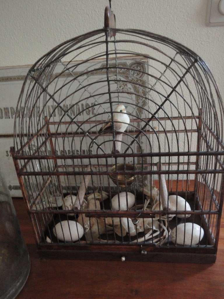 oude VOGELKOOI + KOPEREN DRINKBAKJE + FLESJE + vogeltje, Ophalen of Verzenden