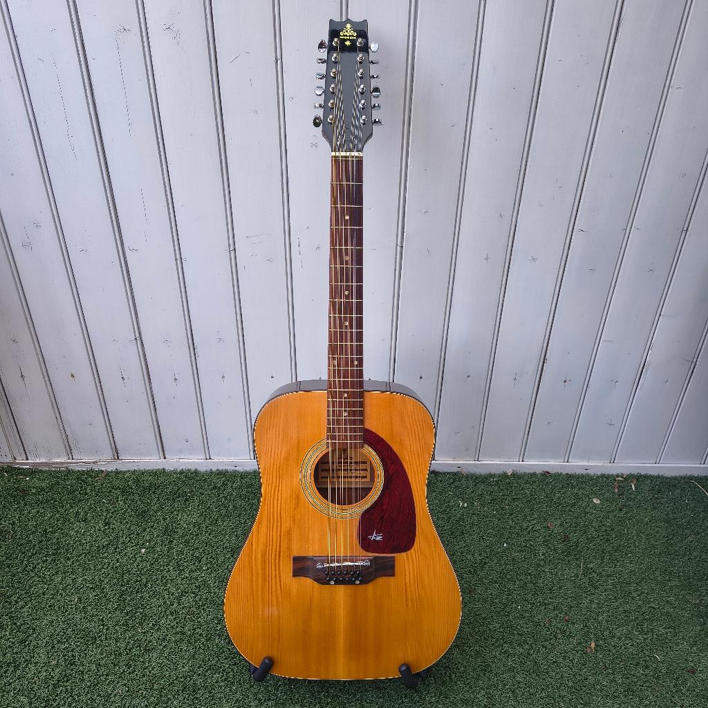 Takeharu WT-100 12-string dreadnought westerngitaar, Ophalen, Gebruikt, Western- of Steelstringgitaar, 12-snarig