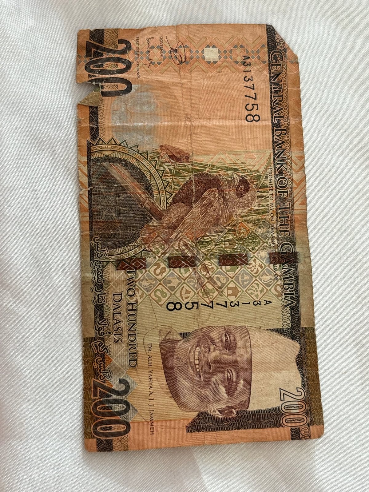 Gambia 200 Dalasis bankbiljet - Afrikaans geld, Ophalen of Verzenden, Los biljet