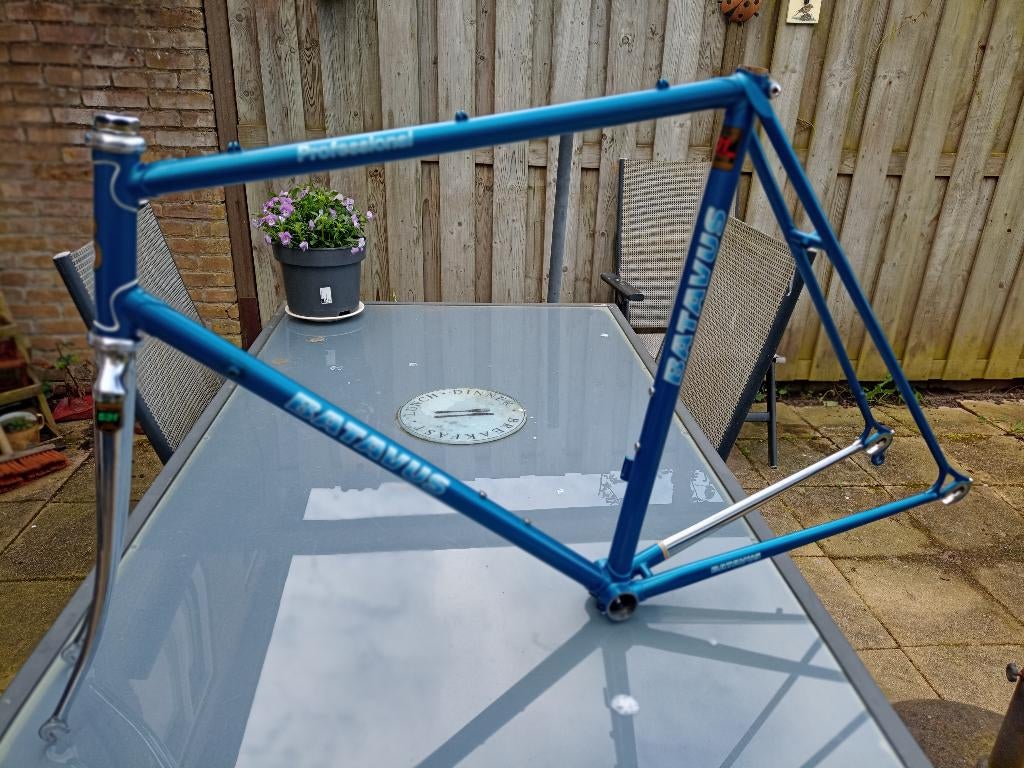 Vintage frame Batavus Professional, Ophalen, Batavus, Zo goed als nieuw, 57 tot 61 cm