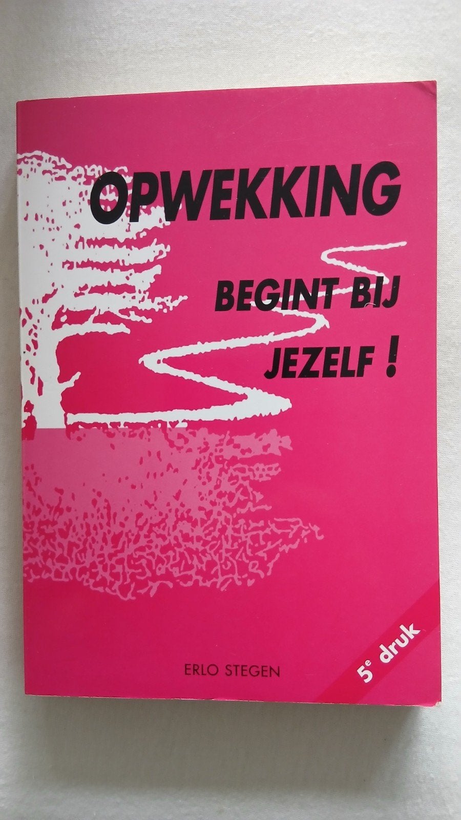 Opwekking Begint Bij Jezelf! - Erlo Stegen (5e druk), Ophalen of Verzenden, Gelezen, Erlo Stegen, Christendom | Protestants