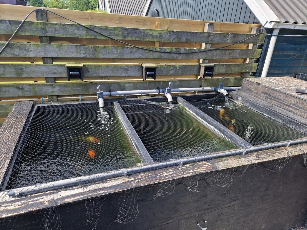 Grote vijverbak 3m3 met filterinstallatie, Tuin en Terras, Vijvers, Ophalen, Gebruikt