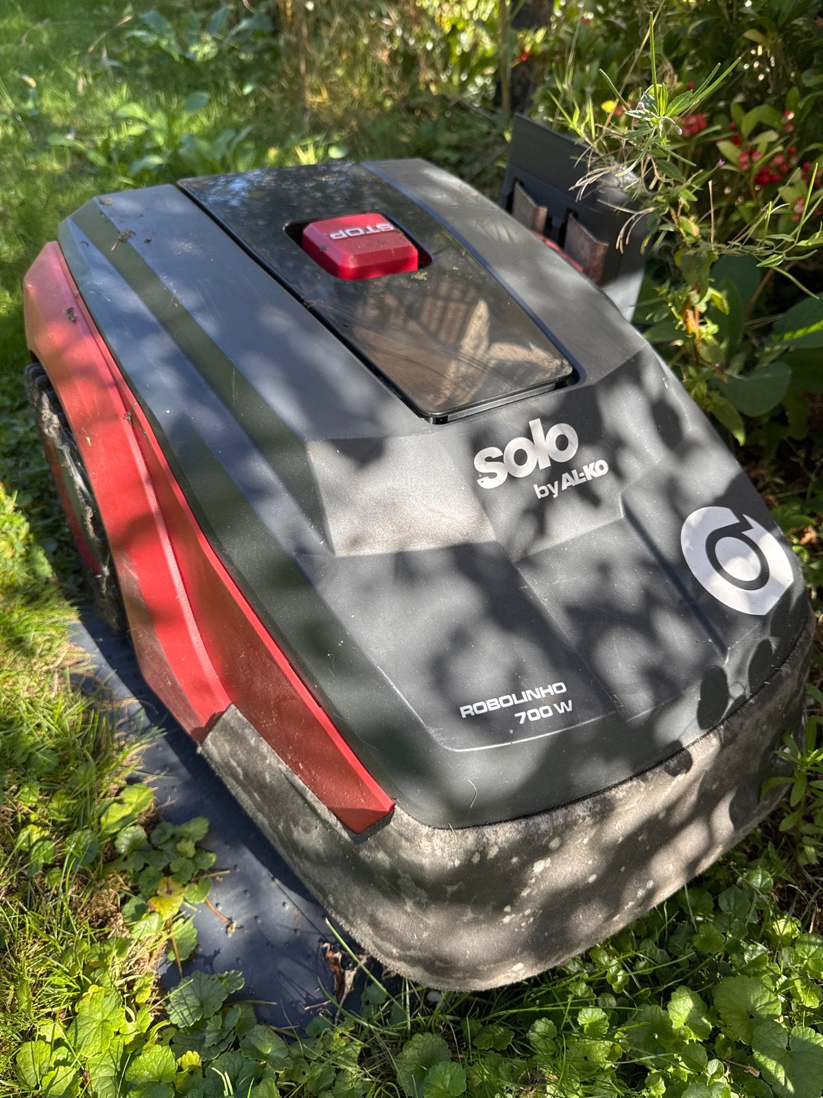 Solo by AL-KO Robolinho 700 W Robotmaaier, Ophalen, Gebruikt, Accu-grasmaaier