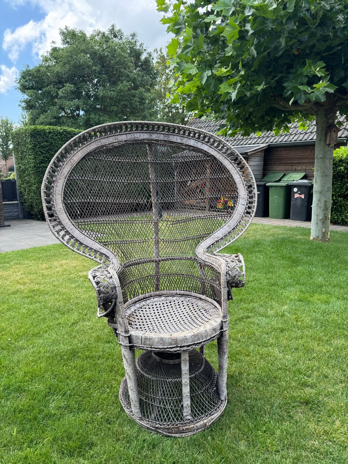 Vintage Wicker Pauwenstoel - Opknapper, Ophalen