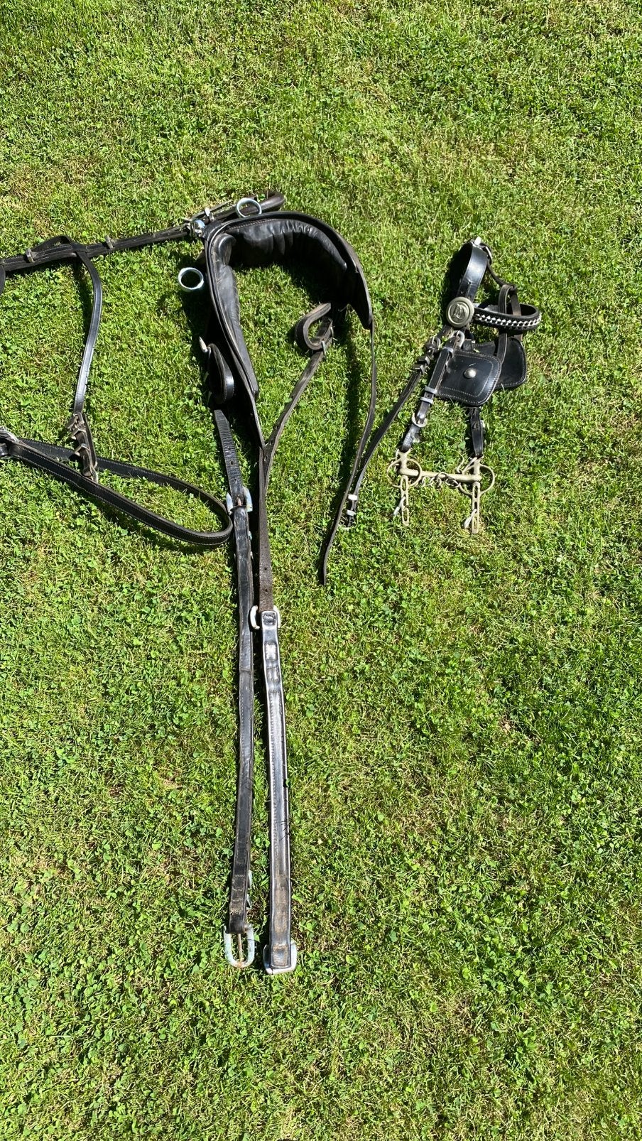 Tuig voor pony enkelspan, Ophalen, Overige disciplines, Mentuig, Zwart