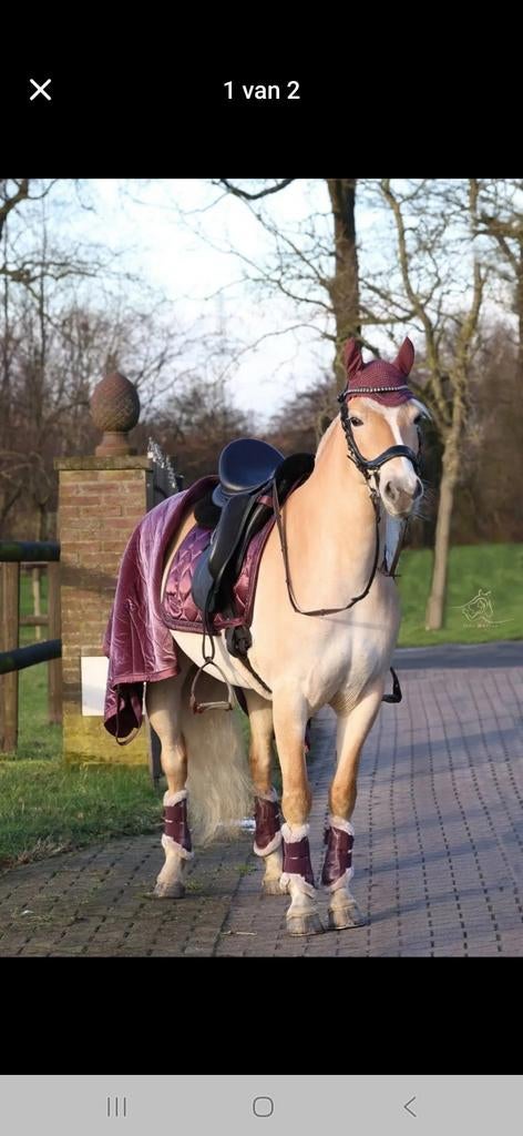 Eskadron cassis set, Ophalen