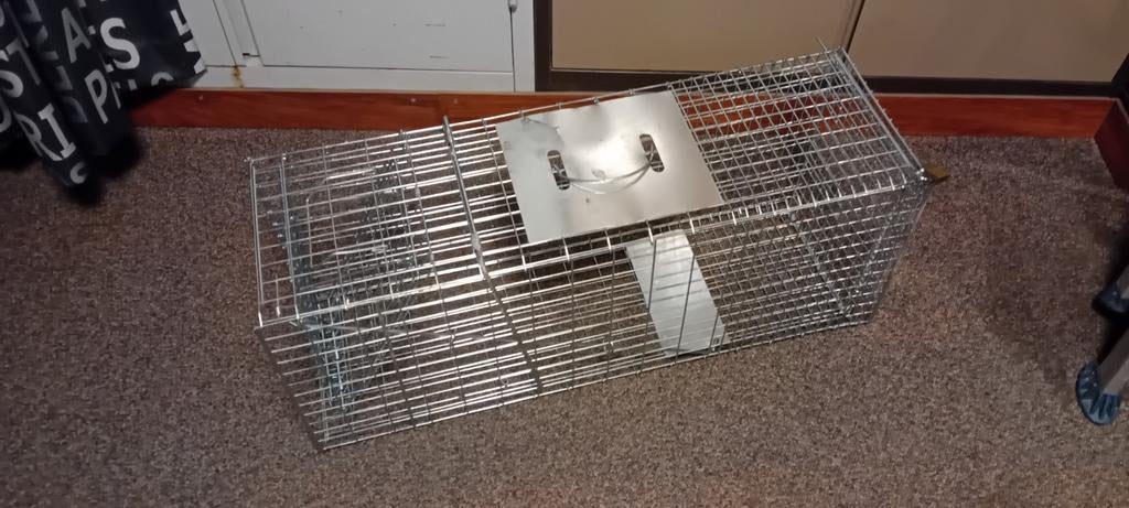 Katten vangkooi, Ophalen of Verzenden