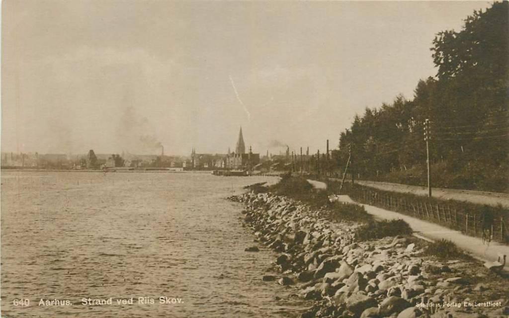 381-270-025 Aarhus Strand ved Riis Skov, Verzenden, Voor 1920, Overig Europa