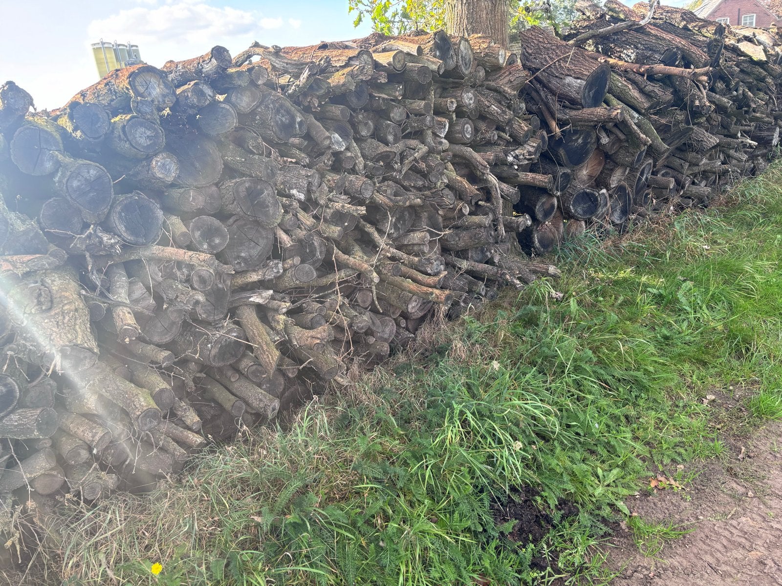 Eikenhout,Stammen,kachelhout,haardhout,stookhout, Tuin en Terras, 6 m³ of meer, Ophalen, Eikenhout, Takken