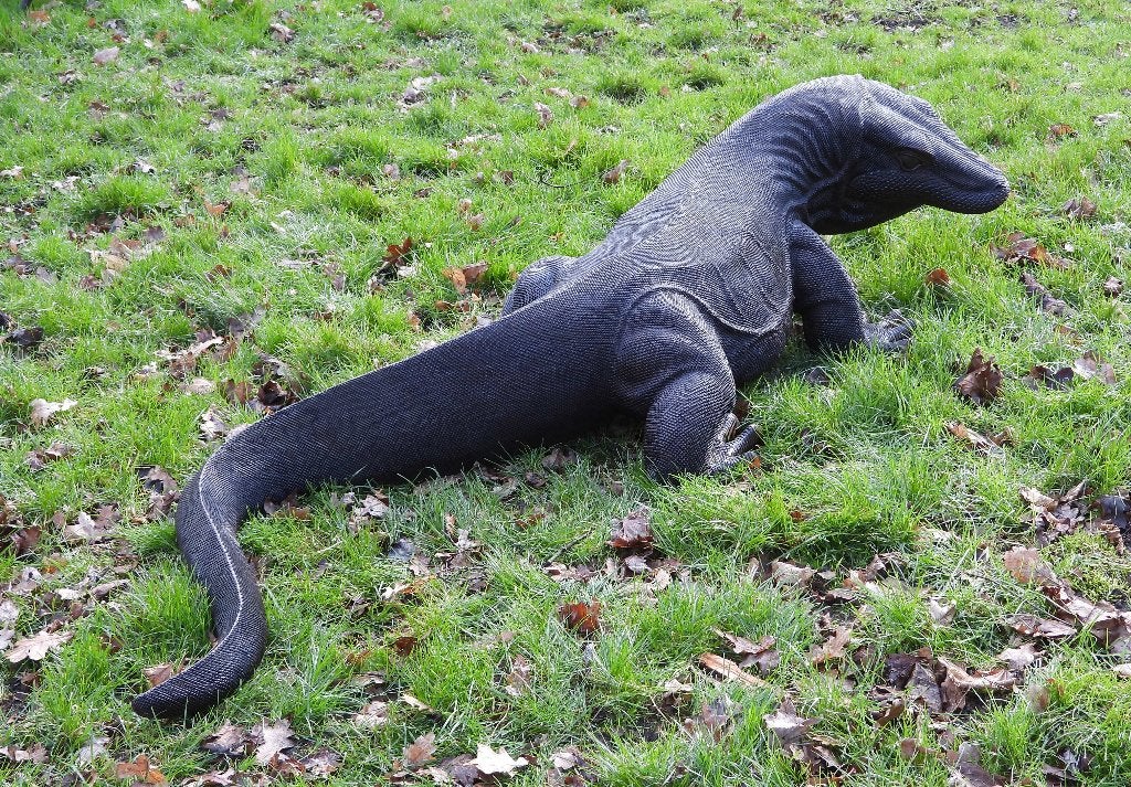 Reusachtige teakhouten Komodo varaan. Meer dan 250 cm, Ophalen, Overige onderwerpen, Meer dan 2 meter, Handgemaakt