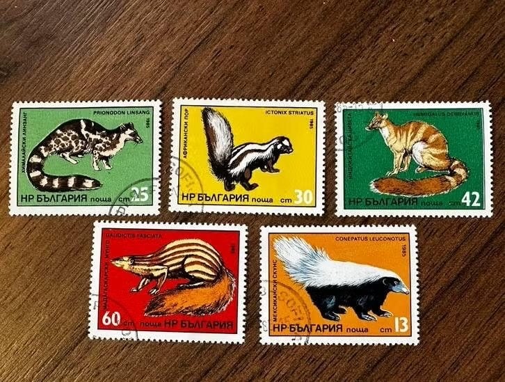 Bulgarije 1985 - Dieren postzegels (gestempeld), Ophalen of Verzenden, Bulgarije, Gestempeld