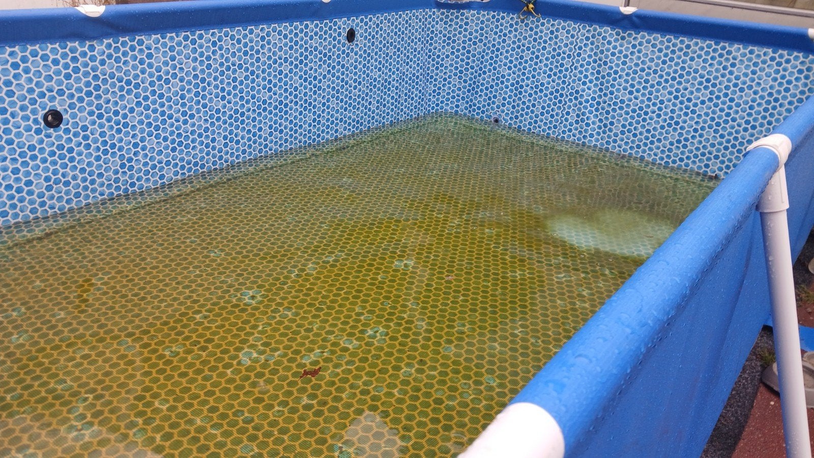 Nieuw zwembad 1 zomer gebruikt, Tuin en Terras, 200 tot 300 cm, 80 tot 120 cm, Ophalen of Verzenden, Zo goed als nieuw