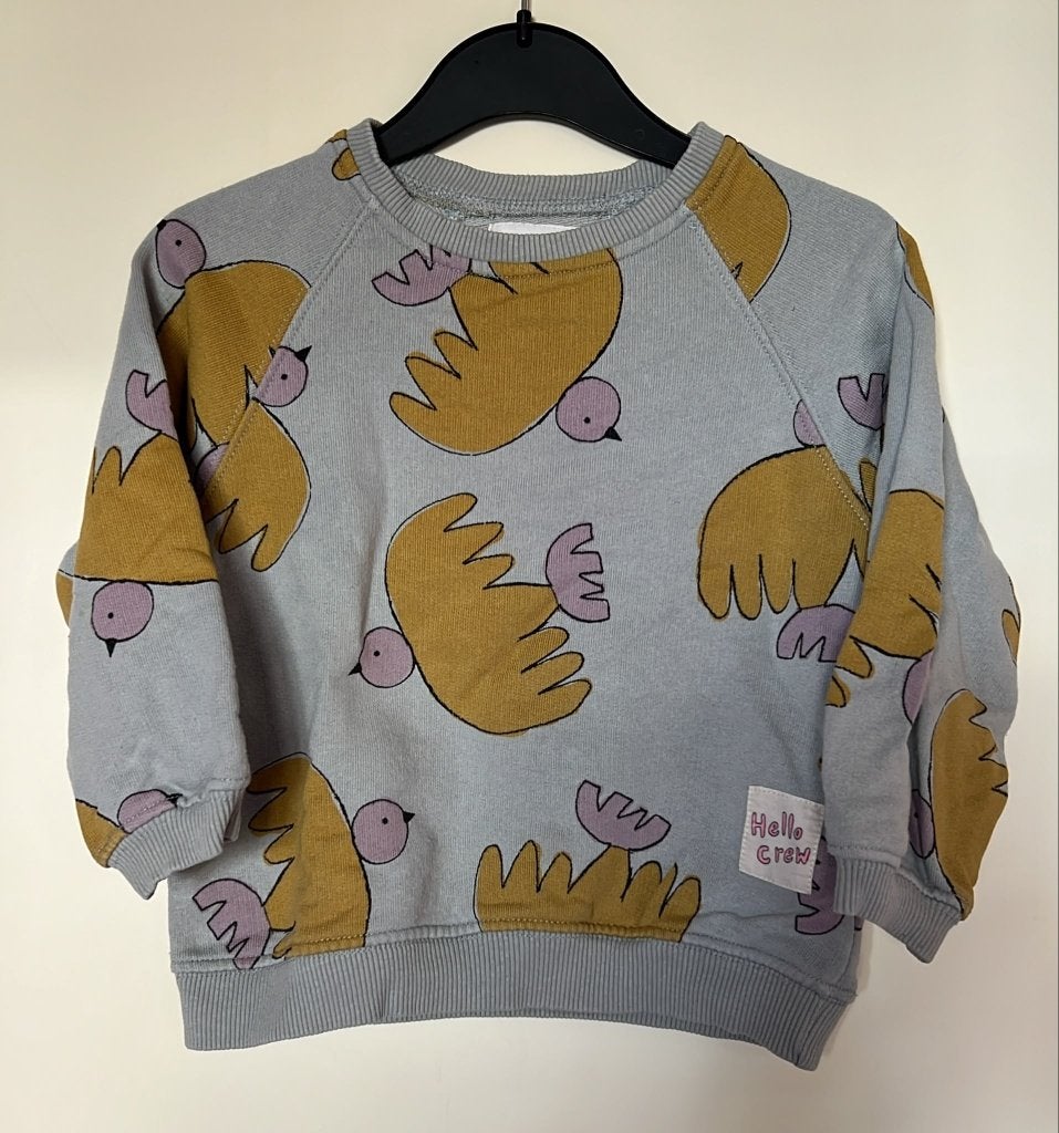 zara sweater maat 92, Kinderen en Baby's, Kinderkleding | Maat 92, Verzenden, Jongen of Meisje, Trui of Vest, Zo goed als nieuw