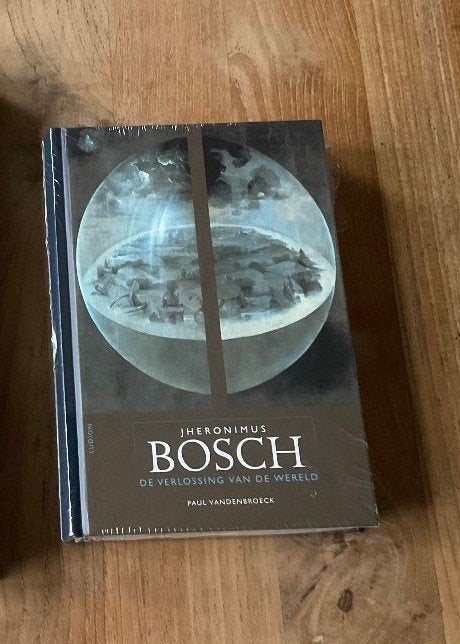 Jheronimus Bosch Jeroen schilder De verlossing van de wereld, Ophalen of Verzenden, Nieuw, Schilder- en Tekenkunst