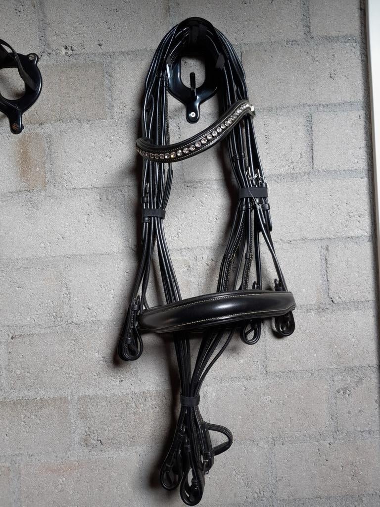 Nieuw Graziozo stang&trens hoofdstel incl teugels, Ophalen of Verzenden