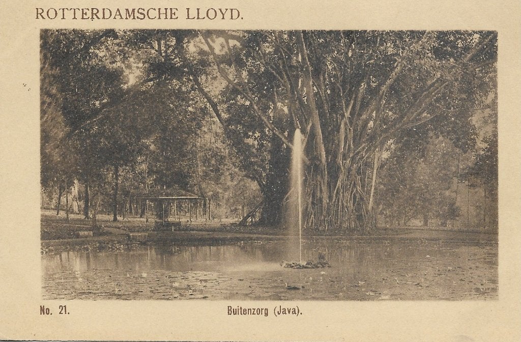 ROTT. LLOYD - Recl. krt uit eerste 2 decennia van 20e eeuw, Verzamelen, Scheepvaart, Ophalen of Verzenden, Nieuw, Motorboot, Kaart, Foto of Prent