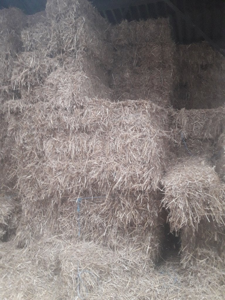 Stro strobalen stropakjes tarwestro gerstro, Dieren en Toebehoren, Dierenvoeding, Ophalen, Vee