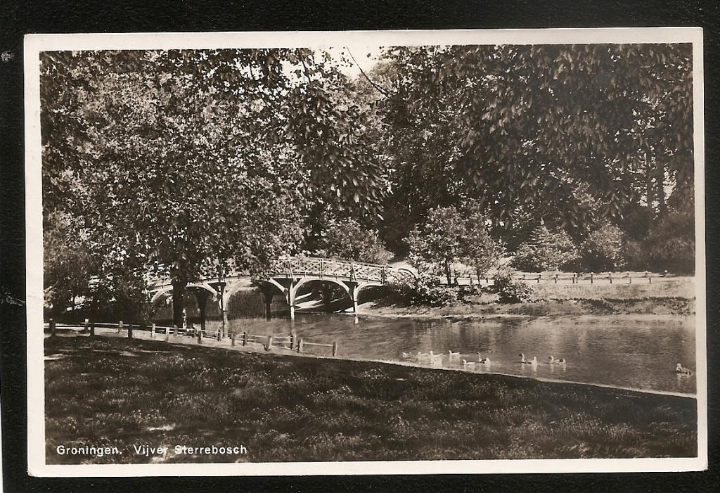 Groningen, Vijver Sterrebosch, Ophalen of Verzenden, 1920 tot 1940, Gelopen, Groningen