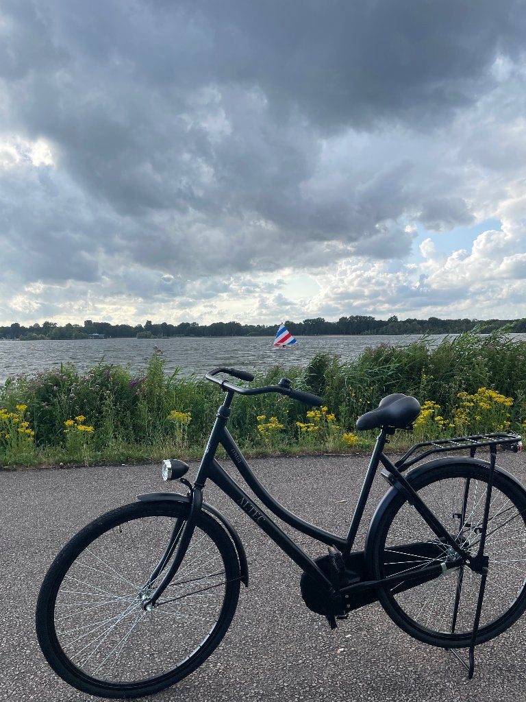 Fiets, Terugtraprem, Nieuw, 50 tot 53 cm, Ophalen