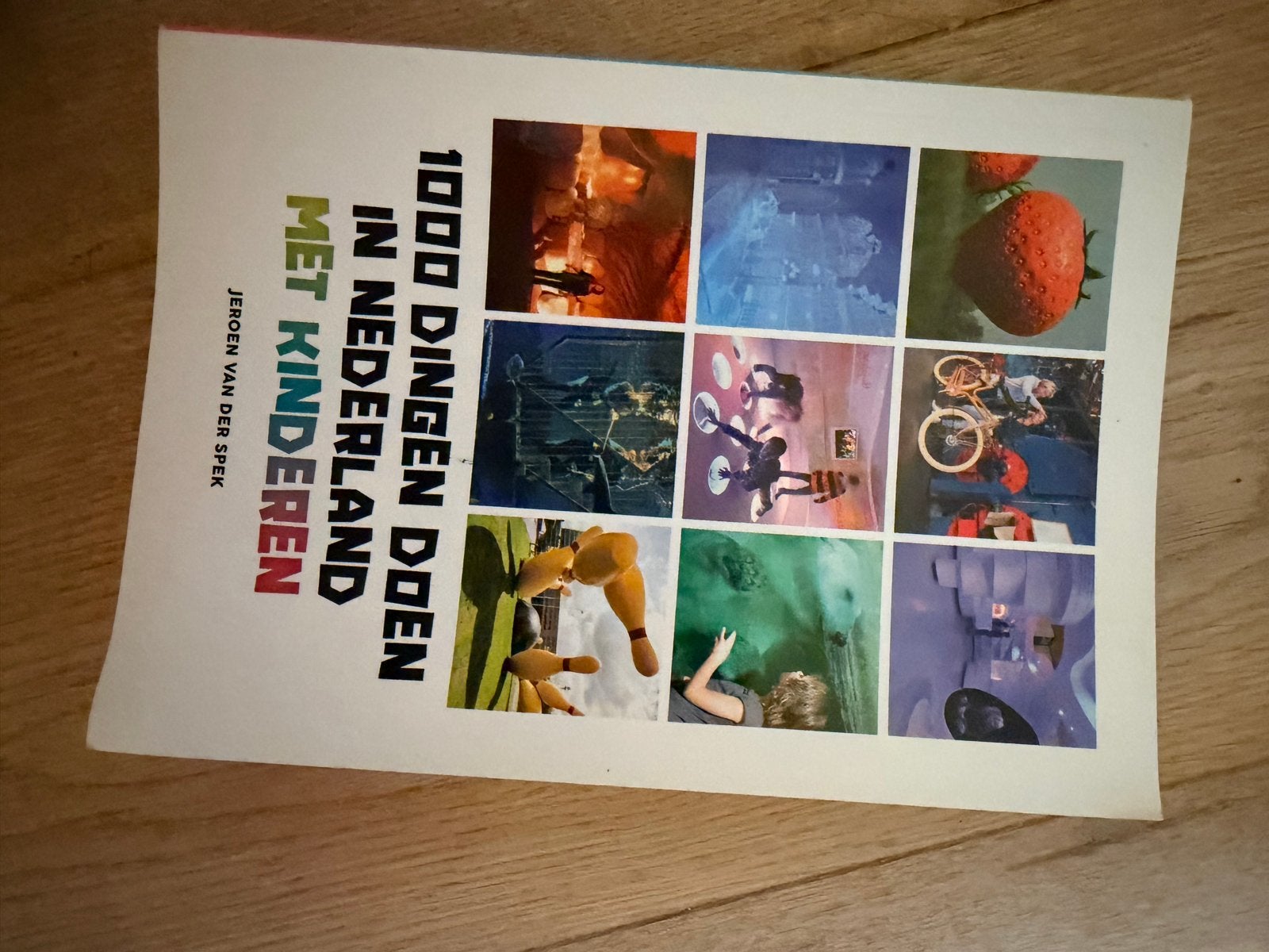 1000 Dingen Doen in Nederland met Kinderen, Boeken, Ophalen of Verzenden, Zo goed als nieuw, Non-fictie