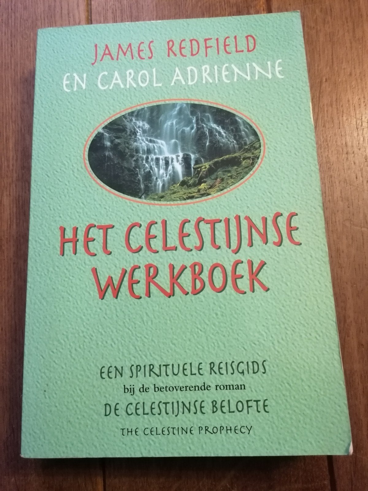 Het Celestijnse Werkboek - James Redfield & Carol Adrienne, Gelezen, Achtergrond en Informatie, Spiritualiteit algemeen, James Redfield en Carol Adrienne