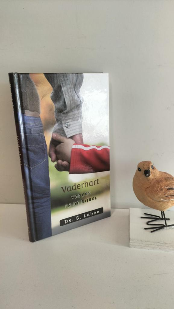 Labee, Ds. B.; Vaderhart (vaders in de Bijbel, Boeken, Godsdienst en Theologie, Gelezen, Christendom | Protestants, Ophalen of Verzenden