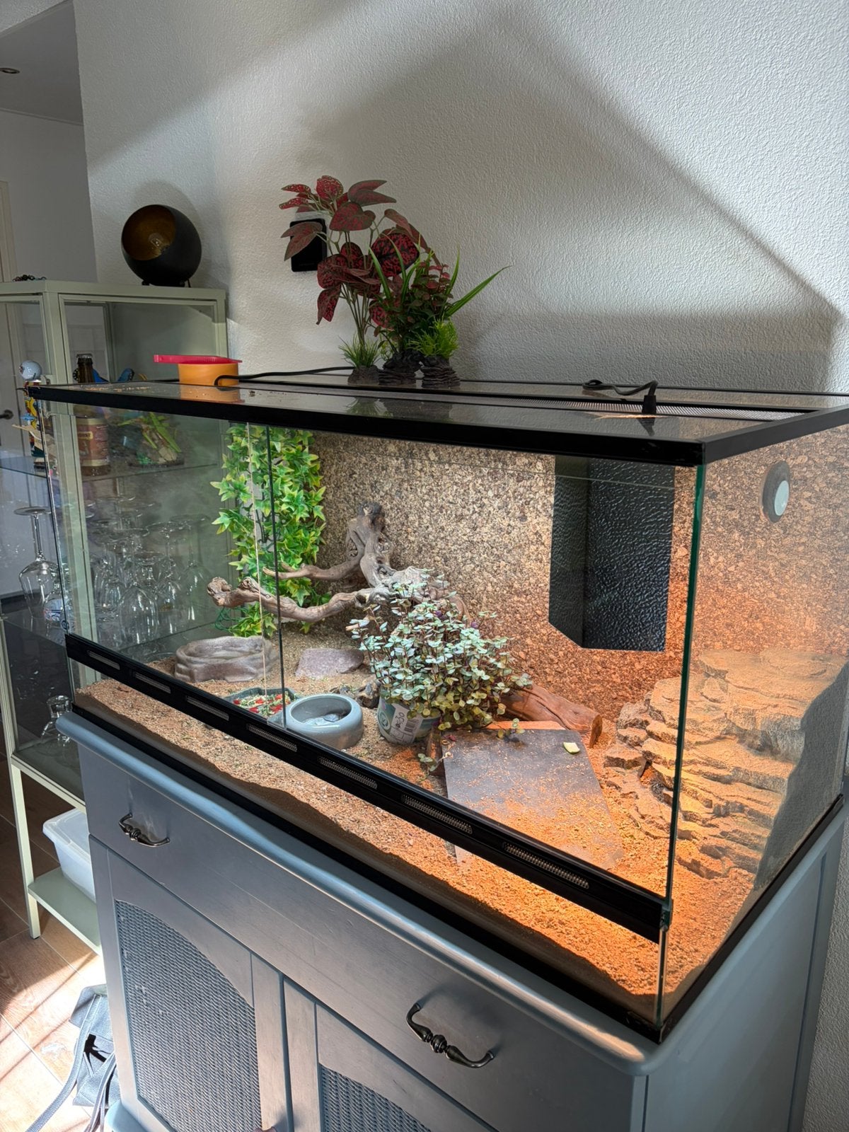 Terrarium 100x50x50, Dieren en Toebehoren, Ophalen, Zo goed als nieuw