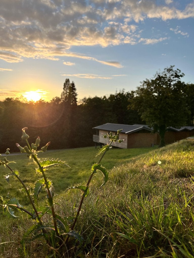 Vakantiewoning Belgische ardennen, Bemiddelingsbureau, 2 slaapkamers, Recreatiepark, Aan meer of rivier