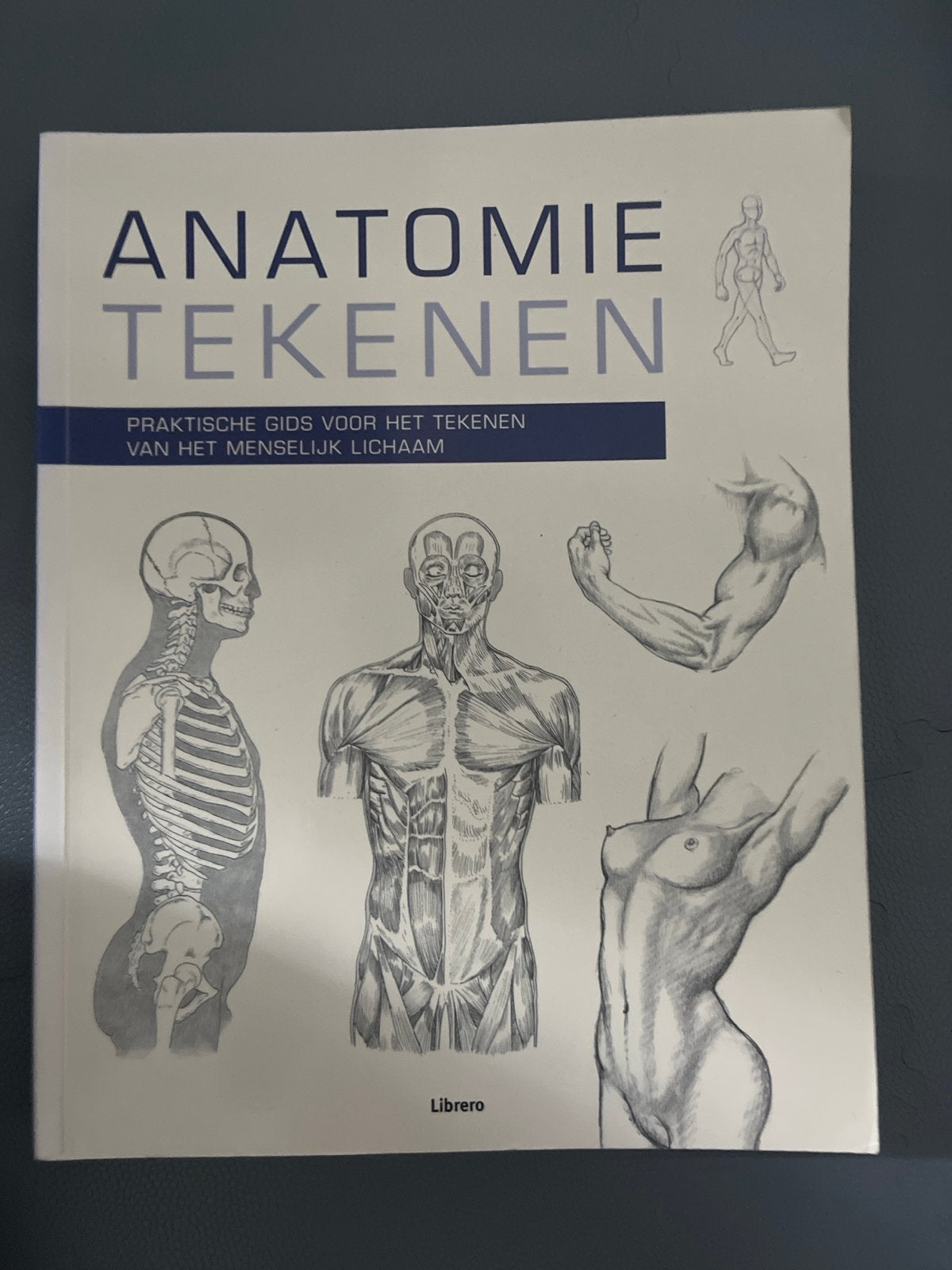 Anatomie Tekenen - Praktische Gids Menselijk Lichaam, Ophalen of Verzenden, Zo goed als nieuw, Boek of Gids