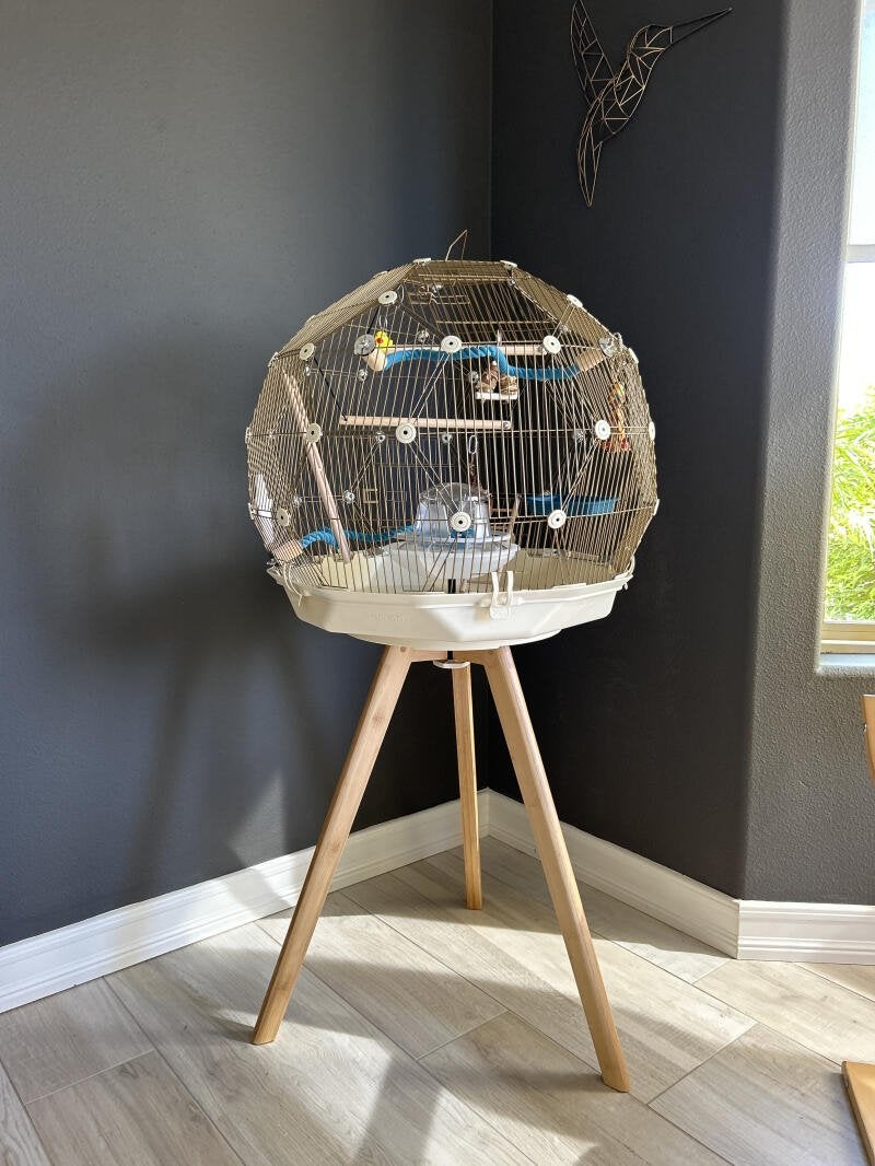 Geo Omlet Vogelkooi Creme/Goud - met stand, Dieren en Toebehoren, Vogels | Hokken en Kooien, Ophalen, Nieuw, Metaal, Vogelkooi