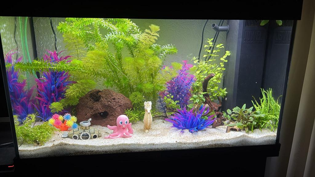 Juwel rio 125 met meubel perfect conditie, Juwel, Inclusief vissen, Ophalen of Verzenden, Gevuld zoetwateraquarium
