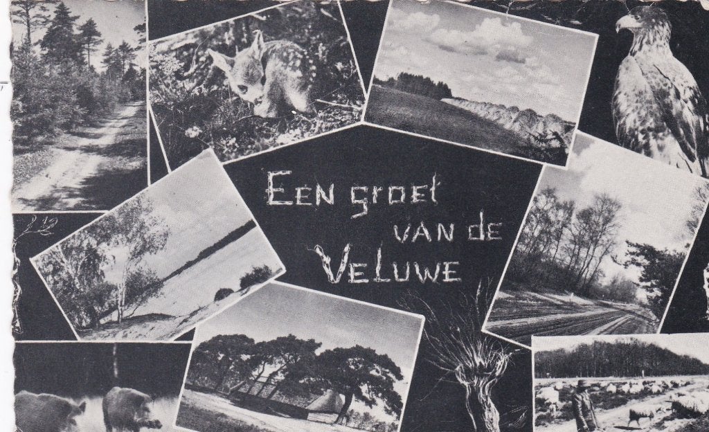 18868 Een groet van de veluwe gelderland Elspeet Nunspeet, Verzamelen, Verzenden, 1940 tot 1960, Gelopen, Gelderland