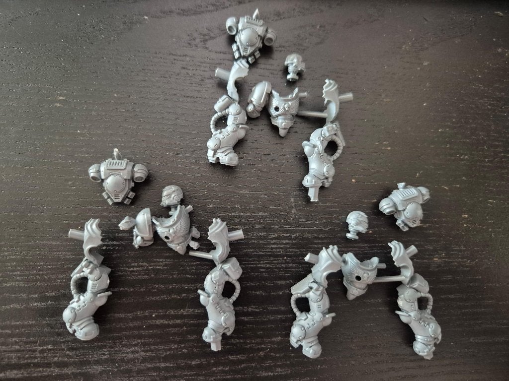 Space Marine Indomitus Eradicators (alleen lichamen), Hobby en Vrije tijd, Wargaming, Ophalen of Verzenden, Zo goed als nieuw