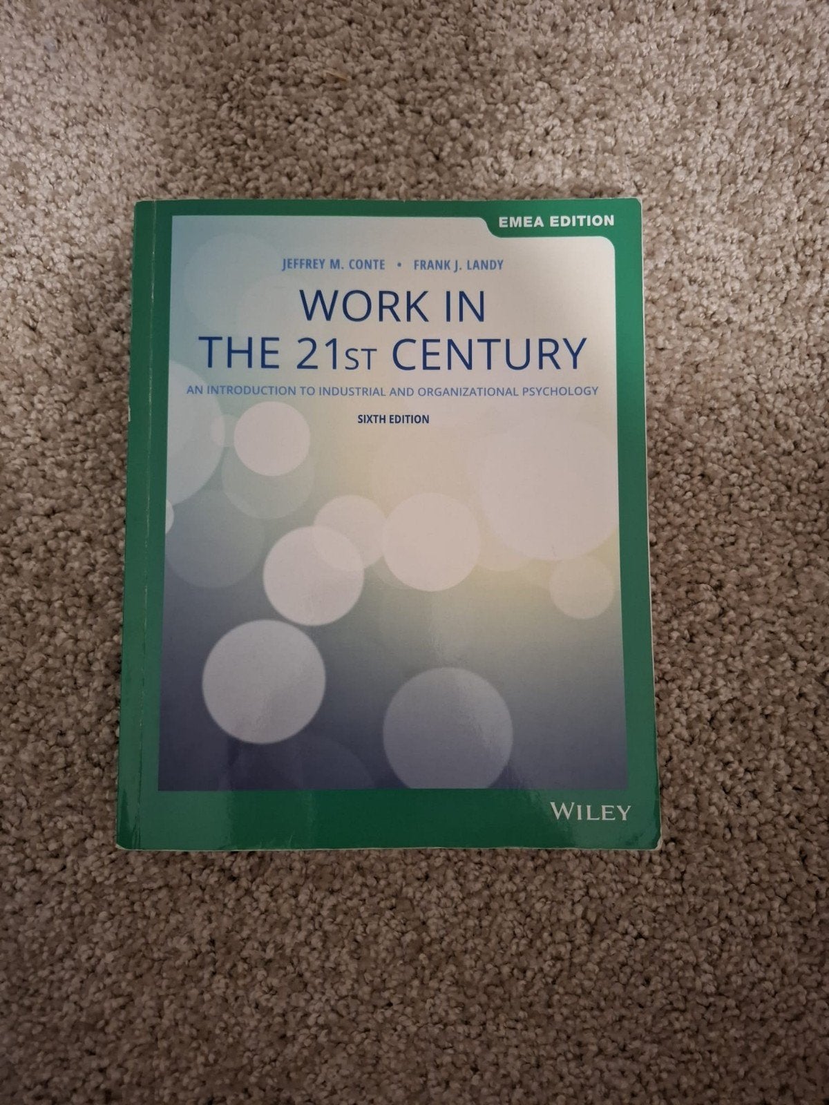 Boek Work in the 21st Century (RUG), Ophalen of Verzenden, Zo goed als nieuw