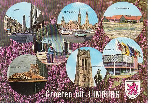 Ansichtkaart	Limburg (België)	7-luik, Verzamelen, Ansichtkaarten | België, Verzenden, 1980 tot heden, Gelopen, Limburg
